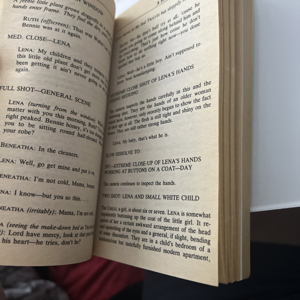 A Raisin in the Sun: The Unfilmed Original‎ Screenplay (1994, Paperback) - Picture 4 of 5